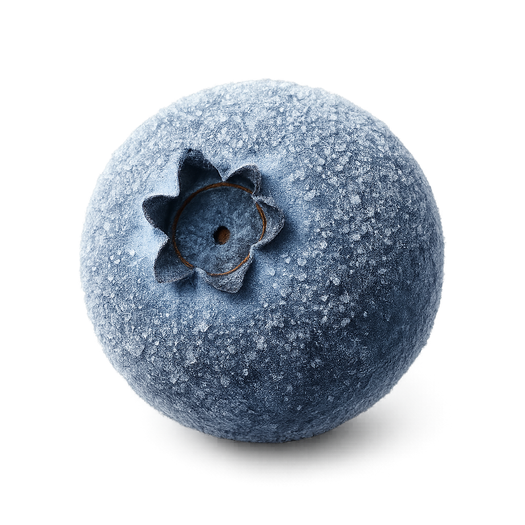 Frozen blueberries for export
