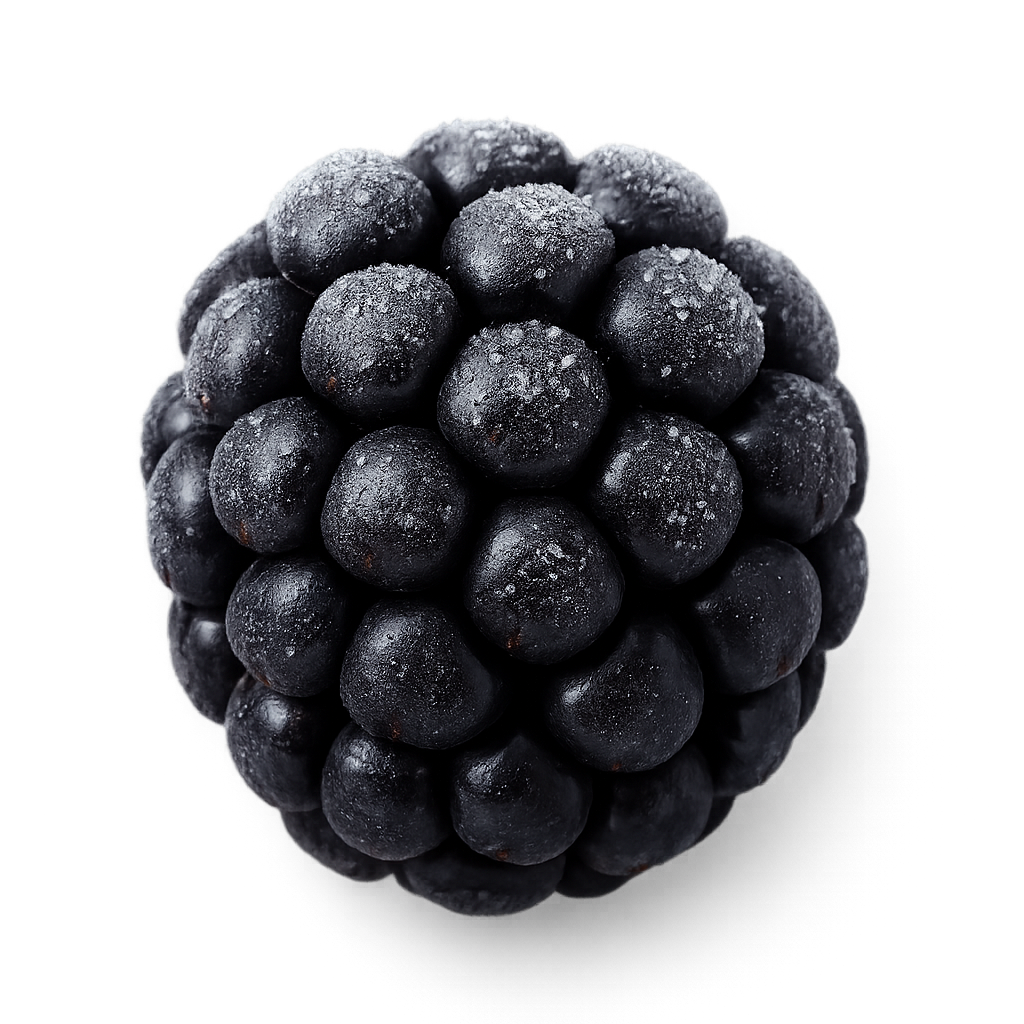 Frozen blackberries for export