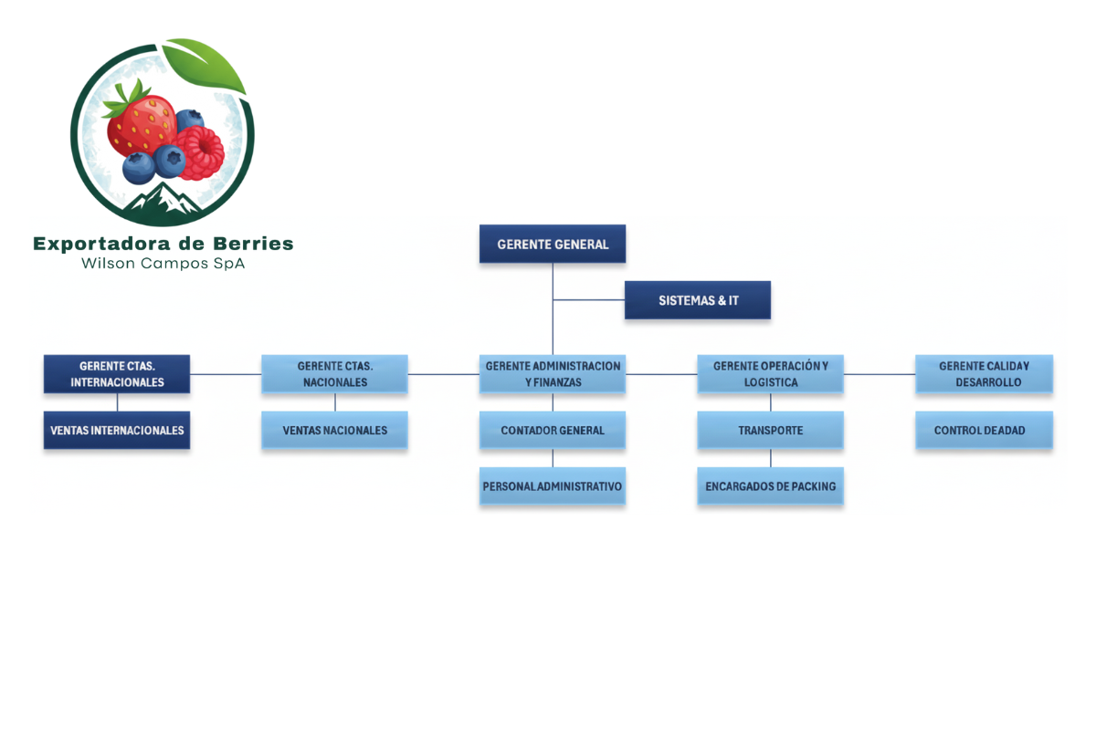 ExportCampos Organization Chart